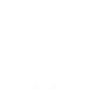 شارژر فندکی